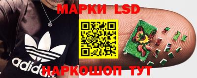 PSILOCYBIN Аргун