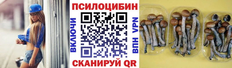 МЕГА ТОР Москва Псилоцибиновые грибы GOLDEN TEACHER
