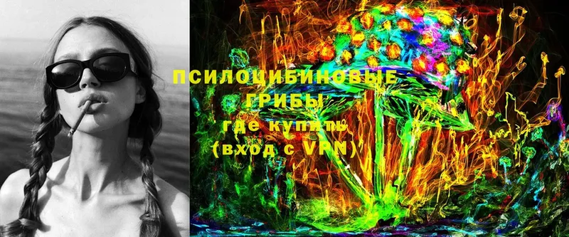 Псилоцибиновые грибы Psilocybine cubensis  Москва 