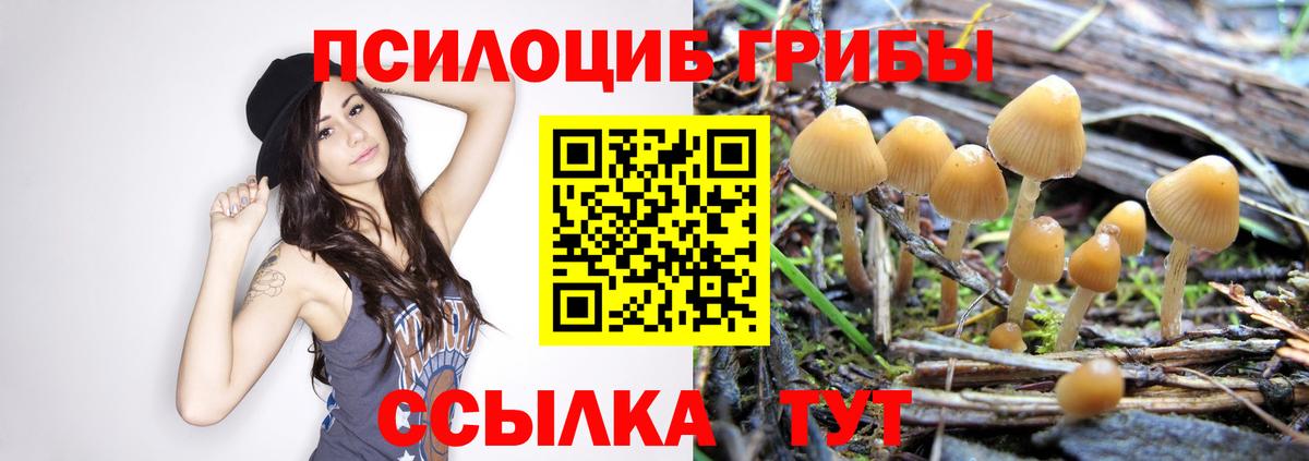 Галлюциногенные грибы GOLDEN TEACHER Москва