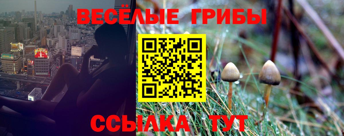 Галлюциногенные грибы Cubensis Москва