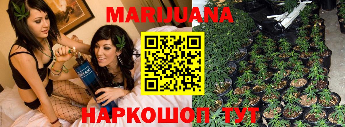 Каннабис конопля  Конопля план  Москва  Конопля тримм 